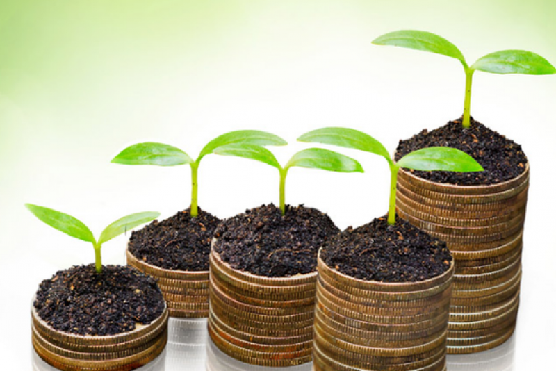 VIC, FMC, DHG, GTN, LSS, GSM, PCT, ADS: Thông tin giao dịch lượng lớn cổ phiếu