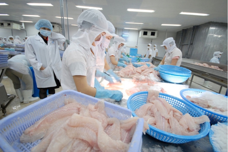 美国是越南查鱼最大出口市场