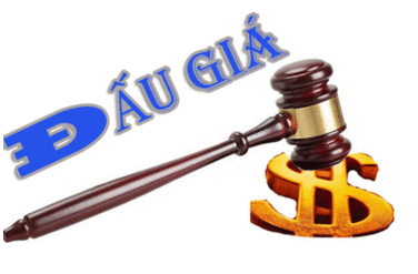 THÔNG BÁO KẾT QUẢ ĐẤU GIÁ BÁN CỔ PHẦN CỦA CÔNG TY CỔ PHẦN PHỐT PHO APATIT VIỆT NAM DO CÔNG TY TNHH MTV APATIT VIỆT NAM SỞ HỮU