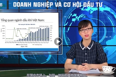 《越企投资机会》—— 越南天然气股份总公司PV Gas (GAS)