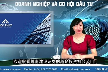 《越企投资机会》 越南绿土房地产集团 （DXG）