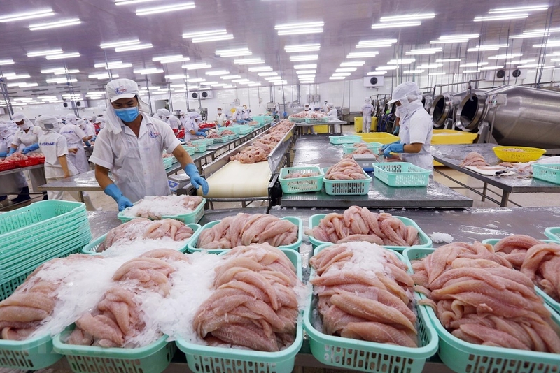 BẢN TIN THỊ TRƯỜNG NGÀY 19/11/2020: TIỀN NHIỀU ĐỂ LÀM GÌ ?