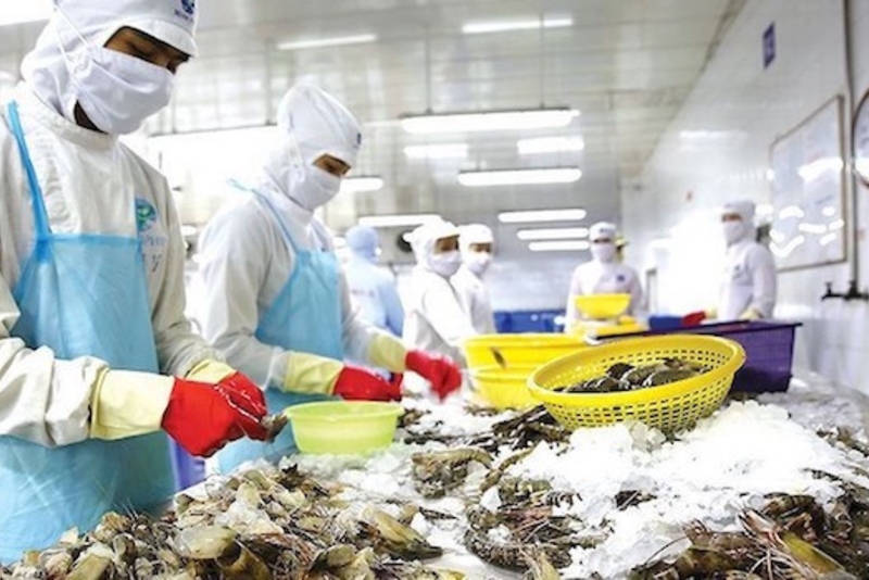 CPTPP, EVFTA giúp thuỷ sản Việt Nam tăng sức cạnh tranh với Ấn Độ, Thái Lan