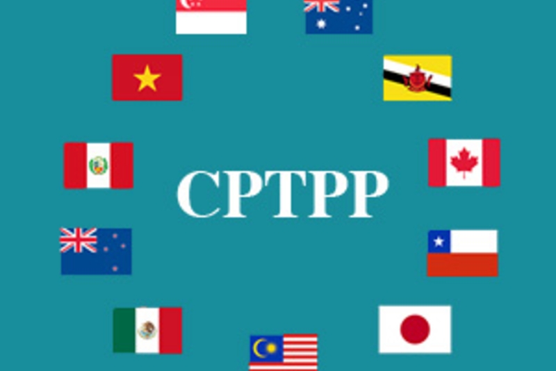 CPTPP为越南与加拿大企业的合作开辟新机遇