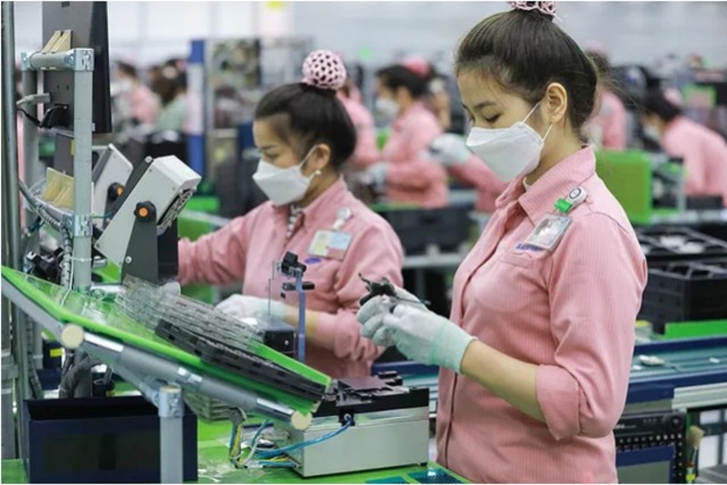 ĐÁNH GIÁ CỔ PHIẾU: TNI, HPG, AAA, LDG, TTH