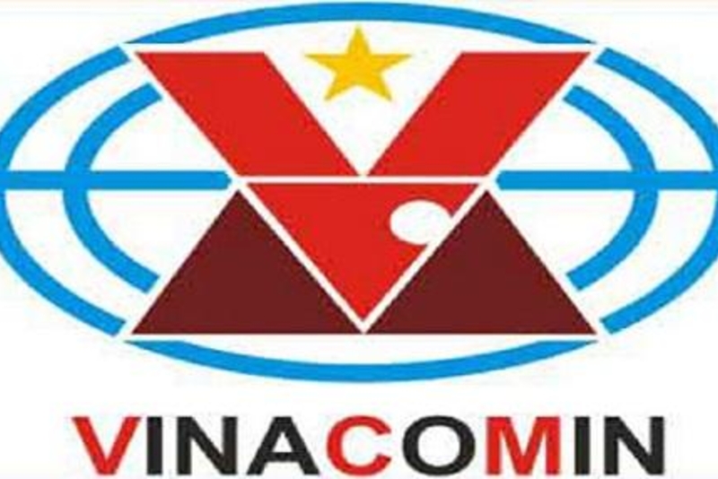 Vinacomin北方煤炭业务股份公司不仅支付现金股息，还以50%的比例发行红股