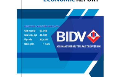 BÁO CÁO PHÂN TÍCH BID - NGÂN HÀNG TMCP ĐẦU TƯ VÀ PHÁT TRIỂN VIỆT NAM