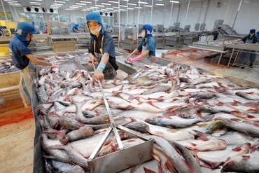 越南水产品进口额达逾15亿美元