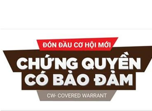MỘT SỐ CHIẾN LƯỢC ĐẦU TƯ CW