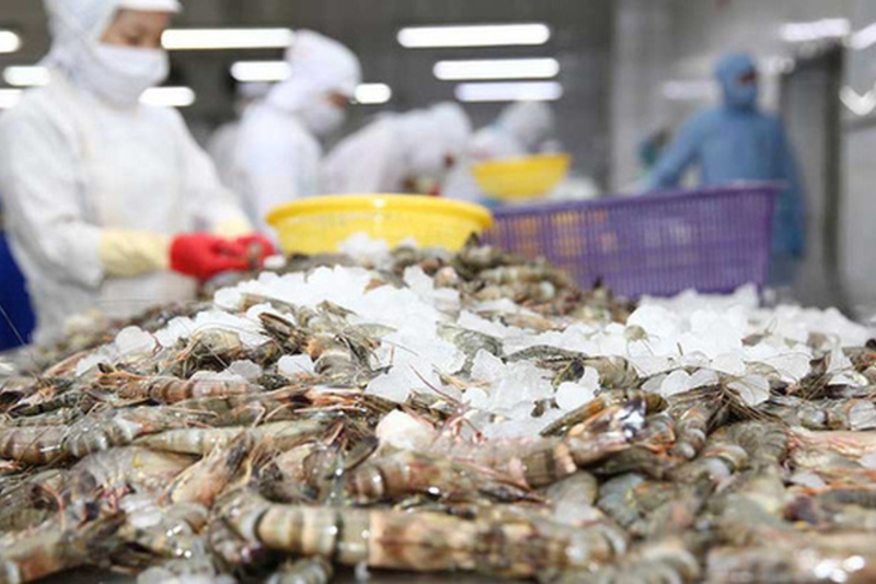 从越南进口的中国虾类大幅下降55%