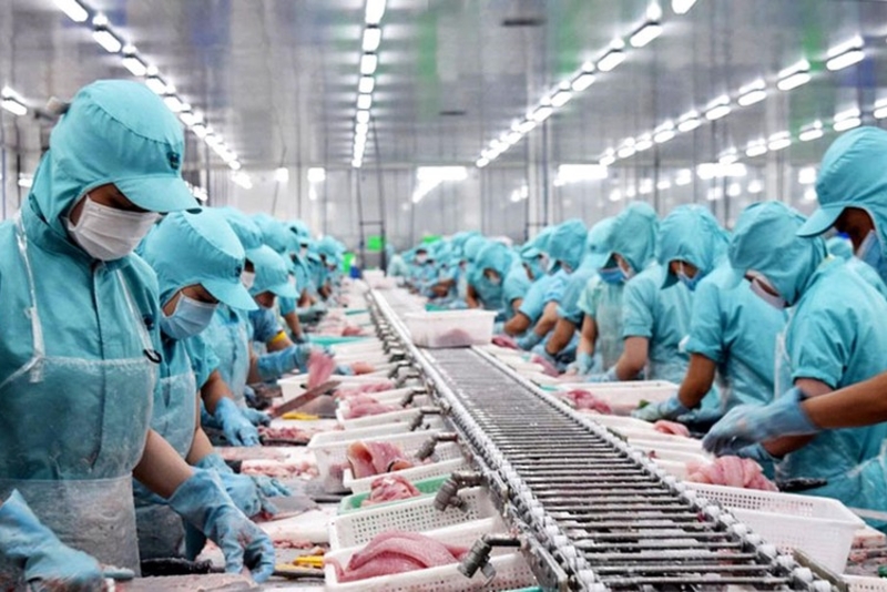 2022年越南水产品出口额有望达到110亿美元