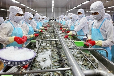 受疫情影响，越南8月水产出口额下降近28%