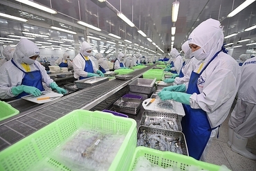 越南虾类出口猛增