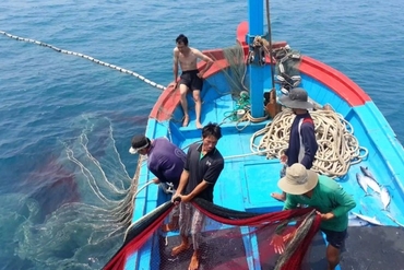解除IUU“黄牌”：越南各地齐心协力