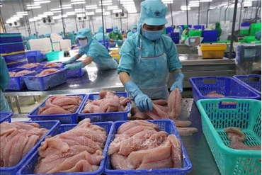 2022年越南农林水产品出口额预计达创纪录的550亿美元