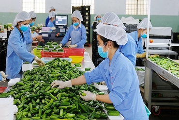 新年伊始越南进出口活动呈繁荣景象