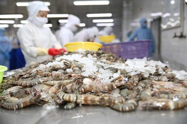 2021年越南虾类的出口额有望超过40亿美元