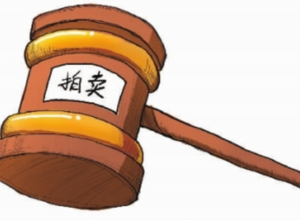 越南建设证券消息:拍卖公告——农村环境卫生清洁中心