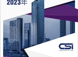 越南市场 2023年 战略投资报告