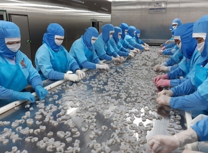 越南出口面临许多困难