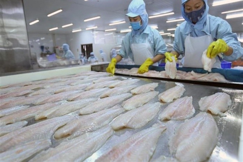 越南查鱼征服世界140多个市场