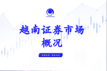 越南证券市场本周概况 - 2024.10.28 - 2024.11.01