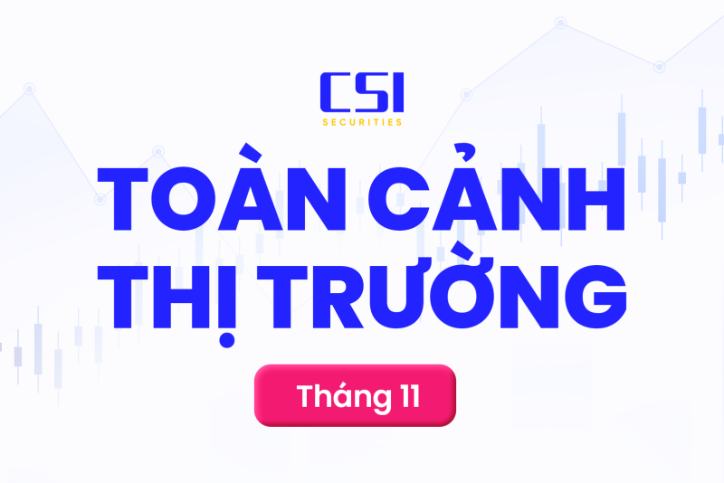 Toàn cảnh thị trường chứng khoán tháng 11/2024