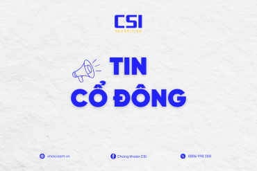 Báo cáo tình hình quản trị Công ty năm 2024