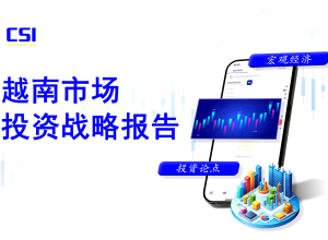 2025年越南市场投资战略报告