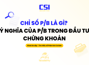 Chỉ số P/B là gì? Ý nghĩa của P/B trong đầu tư chứng khoán