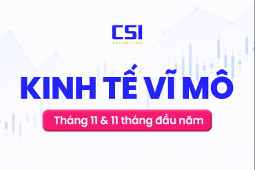 Báo cáo kinh tế vĩ mô tháng 11 và mười một tháng đầu năm 2025