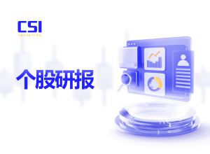 个股研报: 东海缤智股份公司 (DHC - HOSE)