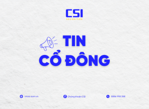 Đính chính thông tin trên Báo cáo tình hình Quản trị Công ty