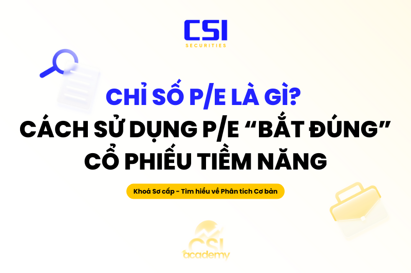 Chỉ số P/E
